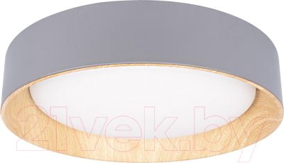 Потолочный светильник Loftit Coin 10202 - фото