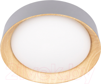 Потолочный светильник Loftit Coin 10202