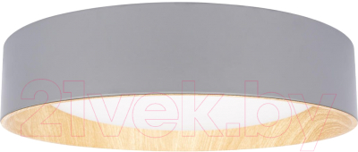 Потолочный светильник Loftit Coin 10202