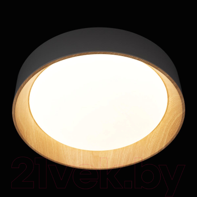 Потолочный светильник Loftit Coin 10202