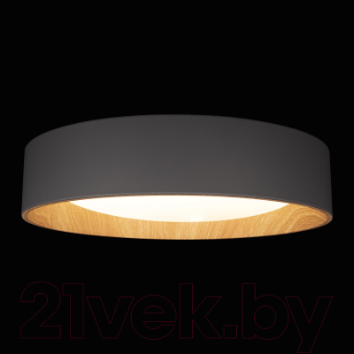 Потолочный светильник Loftit Coin 10202