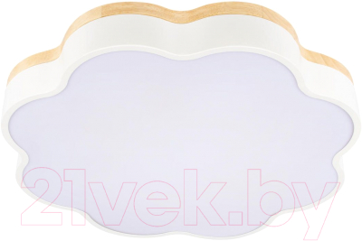 Потолочный светильник Loftit Axel 10225/36 - фото