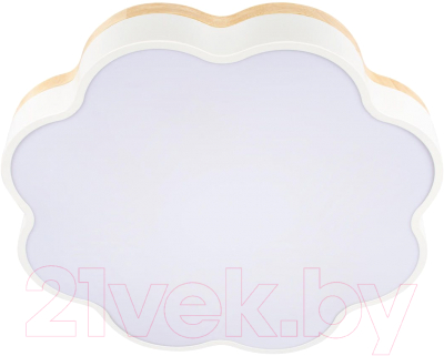 Потолочный светильник Loftit Axel 10225/36