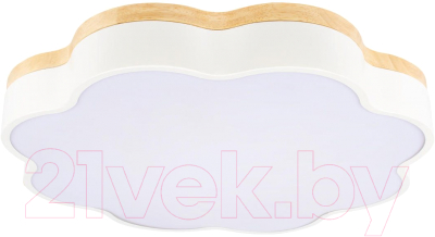 Потолочный светильник Loftit Axel 10225/36