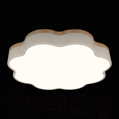 Потолочный светильник Loftit Axel 10225/36