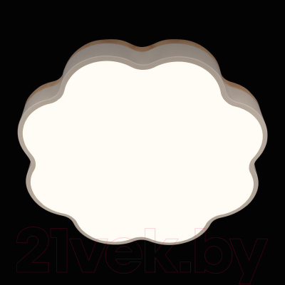 Потолочный светильник Loftit Axel 10225/36