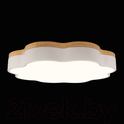 Потолочный светильник Loftit Axel 10225/36