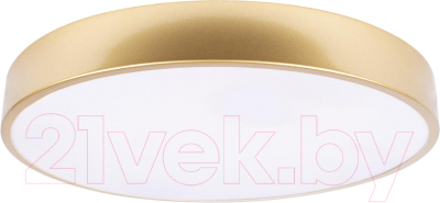 Потолочный светильник Loftit Flims 10228/A - фото