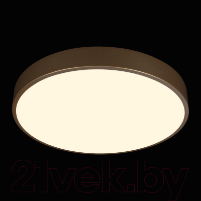 Потолочный светильник Loftit Flims 10228/A