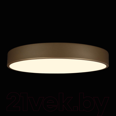 Потолочный светильник Loftit Flims 10228/A