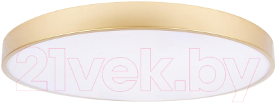 Потолочный светильник Loftit Flims 10228/B - фото