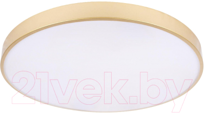 Потолочный светильник Loftit Flims 10228/B