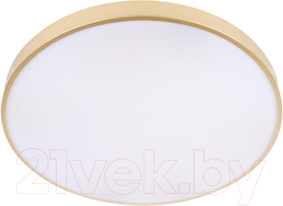 Потолочный светильник Loftit Flims 10228/B