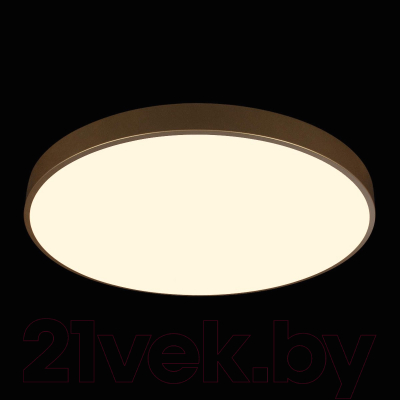 Потолочный светильник Loftit Flims 10228/B