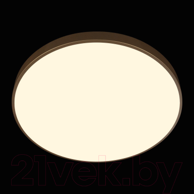 Потолочный светильник Loftit Flims 10228/B