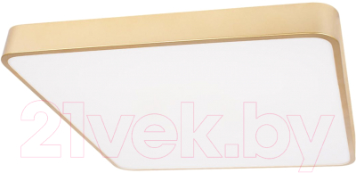 Потолочный светильник Loftit Flims 10228/D - фото