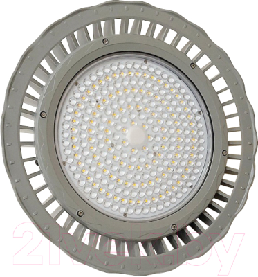 Светильник уличный БЭЛЗ Parida 13500LM 1X100W 4000К OMS / 2750558 - фото