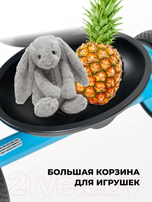 Трехколесный велосипед Farfello 123