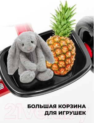 Трехколесный велосипед Farfello 208