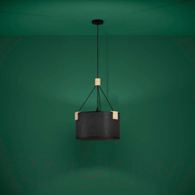 Потолочный светильник Eglo Potosi 39944