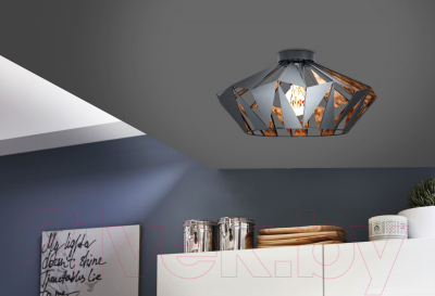 Потолочный светильник Eglo Carlton 6 43399