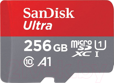 Карта памяти SanDisk Micro SDXC UHS-I 256GB (SDSQUAC-256G-GN6MN) - фото