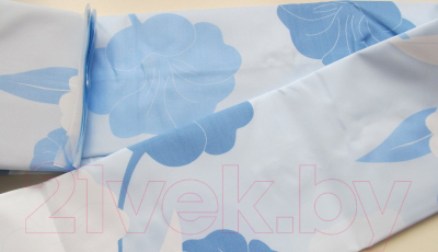 Шторка-занавеска для ванны Miranda Y Herbarium Blue - фото