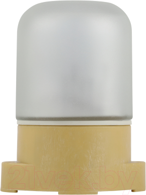 Светильник ЖКХ ЭРА НББ 01-60-007 / Б0062262