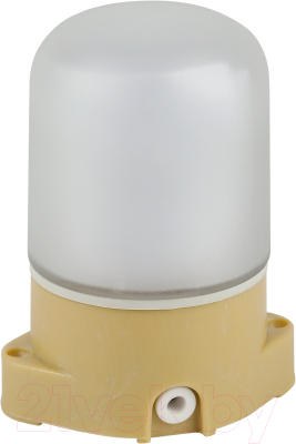 Светильник ЖКХ ЭРА НББ 01-60-007 / Б0062262