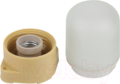 Светильник ЖКХ ЭРА НББ 01-60-007 / Б0062262