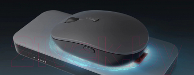 Мышь Lenovo Go Multi-Device / GY51C21211