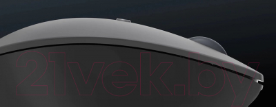 Мышь Lenovo Go USB-C / GY51C21210