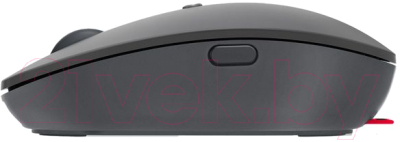 Мышь Lenovo Go USB-C / GY51C21210