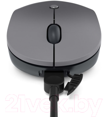 Мышь Lenovo Go USB-C / GY51C21210
