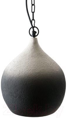 Потолочный светильник Bergenson Bjorn Sustainable / BB0000173 (черный/белый)