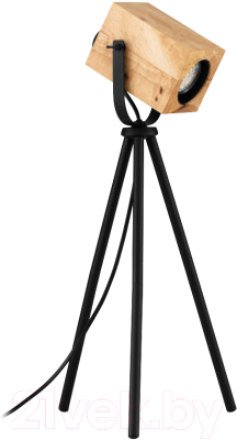 Прикроватная лампа Eglo Ayles 43749 - фото