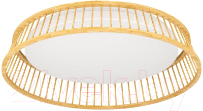 Потолочный светильник Eglo Luppineria 900797 - фото