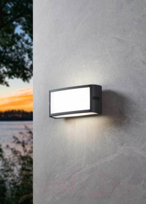 Бра уличное Eglo Camadra 900808