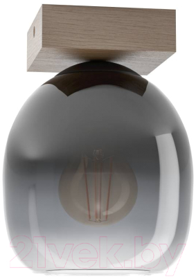 Потолочный светильник Eglo Filago 900825 - фото