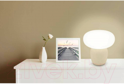 Прикроватная лампа Eglo Cahuama 99824