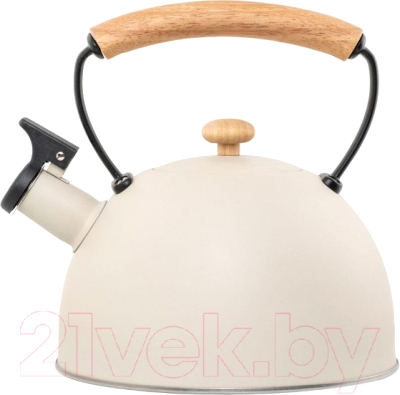 Чайник со свистком Appetite LKD-0028BGH - фото