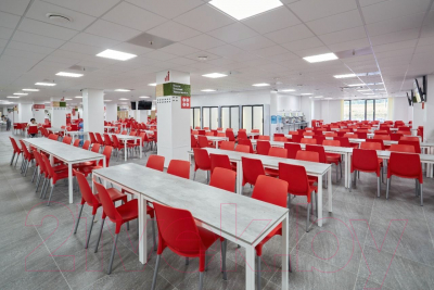 Стул Sheffilton SHT-S75-1