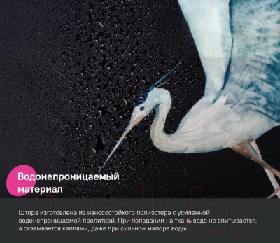 Шторка-занавеска для ванны IDDIS BP01P18i11