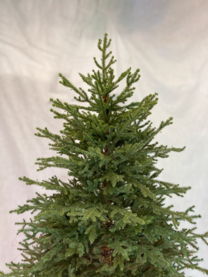 Ель искусственная GreenTerra Вилтони