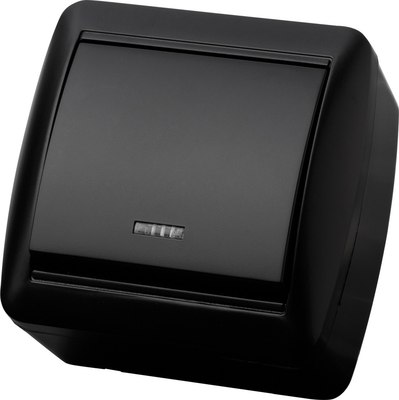 Выключатель TDM Селигер / SQ1818-0303 - фото