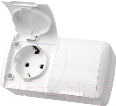 Розетка TDM Селигер / SQ1818-0014 - фото
