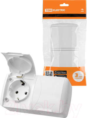 Розетка TDM Селигер / SQ1818-0014