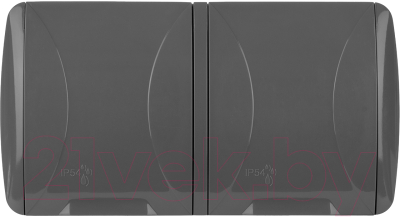 Розетка TDM Селигер / SQ1818-0114