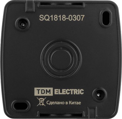Розетка TDM Селигер SQ1818-0307