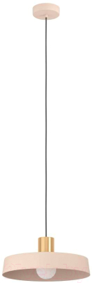 Потолочный светильник Eglo Valdiola 900429 - фото